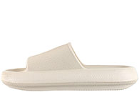 SURF 2397-118 BEIGE